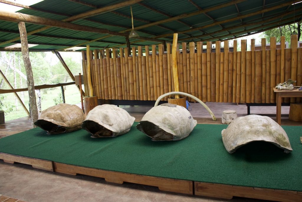 El Chato Tortoise Reserve a little museum inside Galapagos