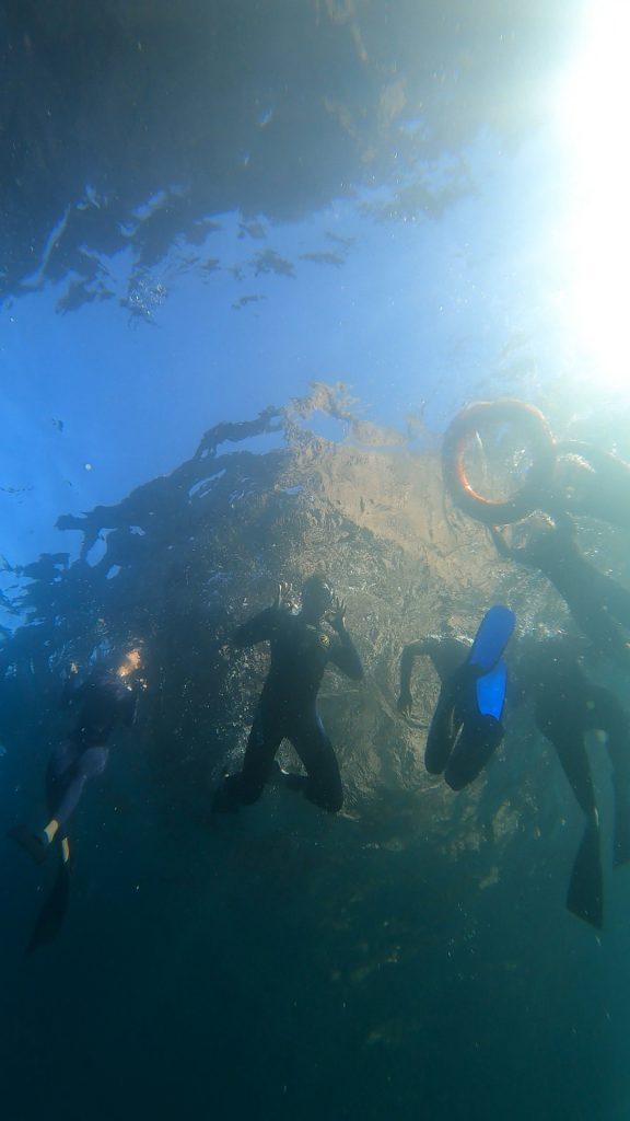 Diving at Kickers Rock during San Cristobal 360 tour
