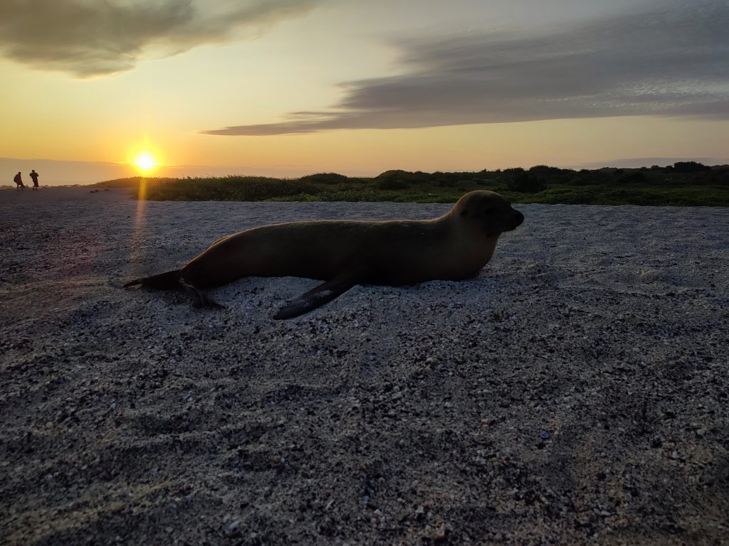 Sunset at La Loberia beach Galapagos