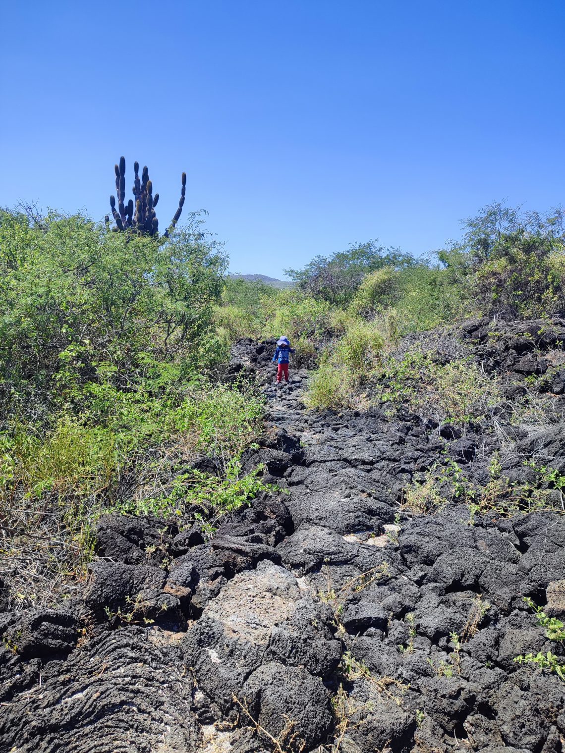 Floreana Island Tour Galapagos: Does It Worth It? - My Trip To Ecuador