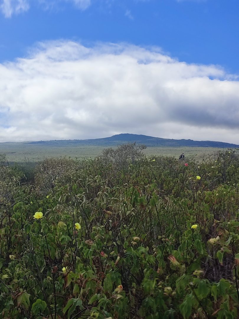 Walking on Lobos Island, Galapagos