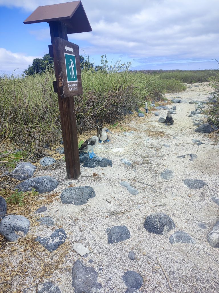 Hike at Lobos Island Galapagos