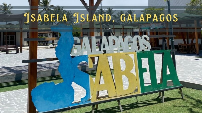 Isabela Island Galapagos featured image
