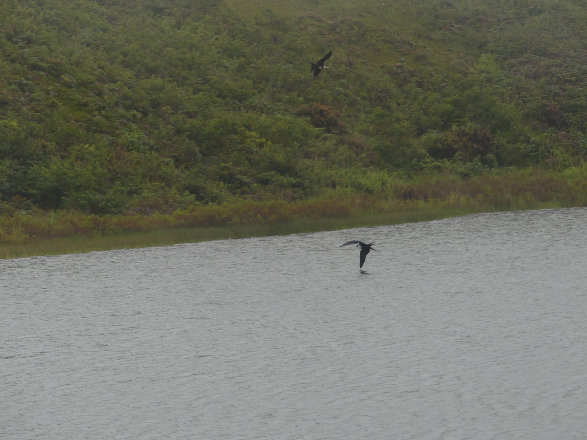 El Junco Lagoon, San Cristobal, Galapagos: Our Visiting Experience - My ...
