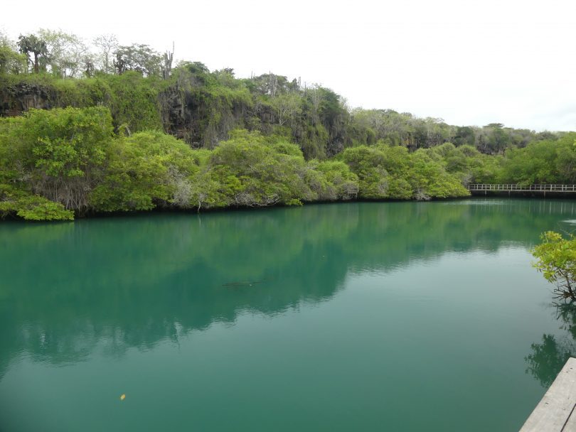 View on Laguna de las Ninfas Galapagos