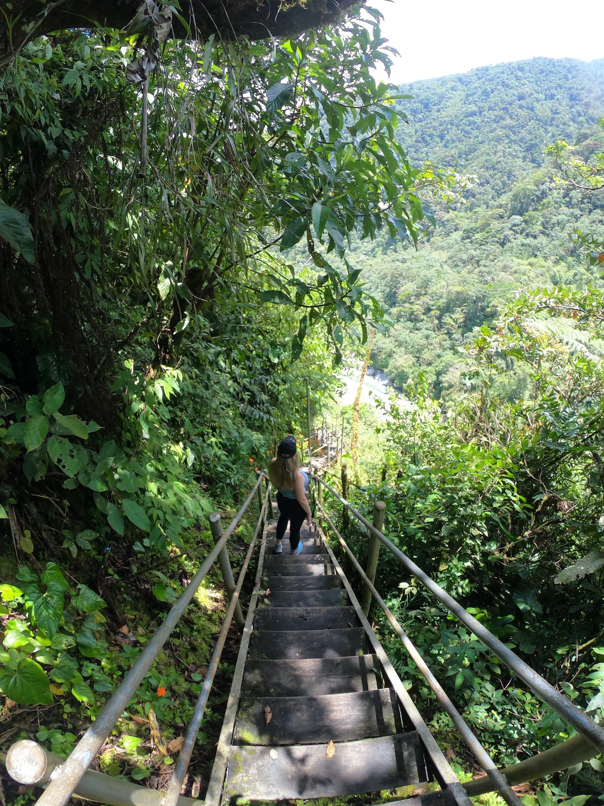 Wooden stairs down to Machay waterfalls
