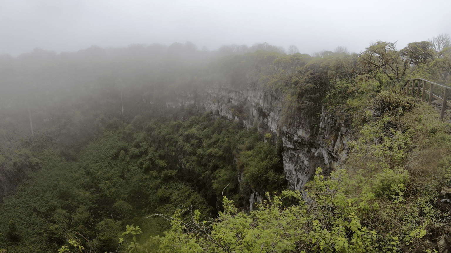 Visiting Los Gemelos Twin Craters, Santa Cruz Island, Galapagos My