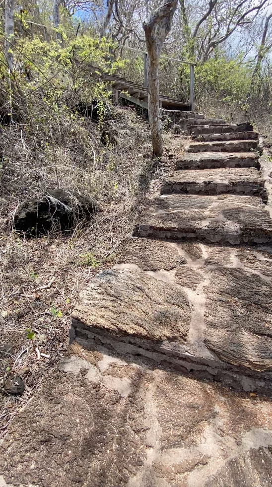 Cerro Tijeretas Trail pathway