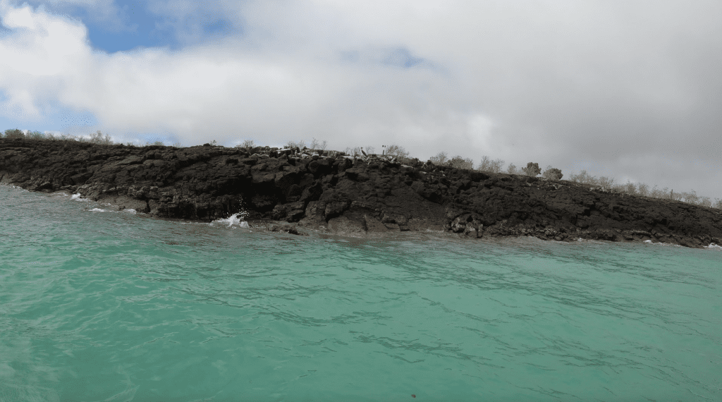 Getting to Lobos Island Galapagos