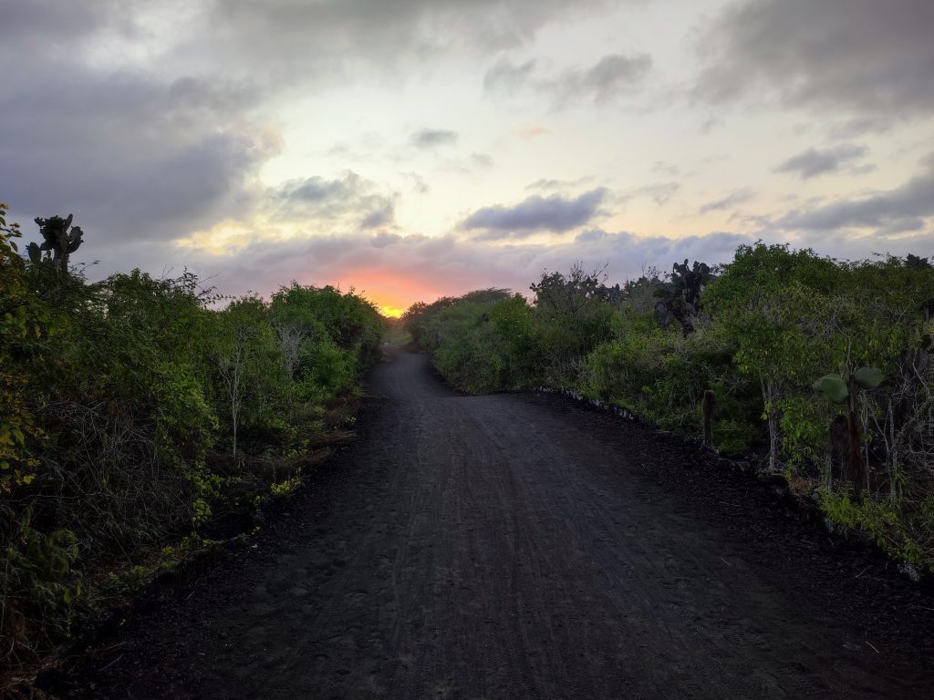 Hike along the Wall of Tears, e top, Isabela Island, Galapagos