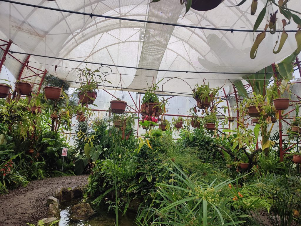 Botanical garden in Quito, Ecuador