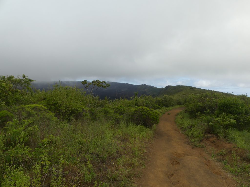 Trail along Sierra Negro Volcano, Galapagos