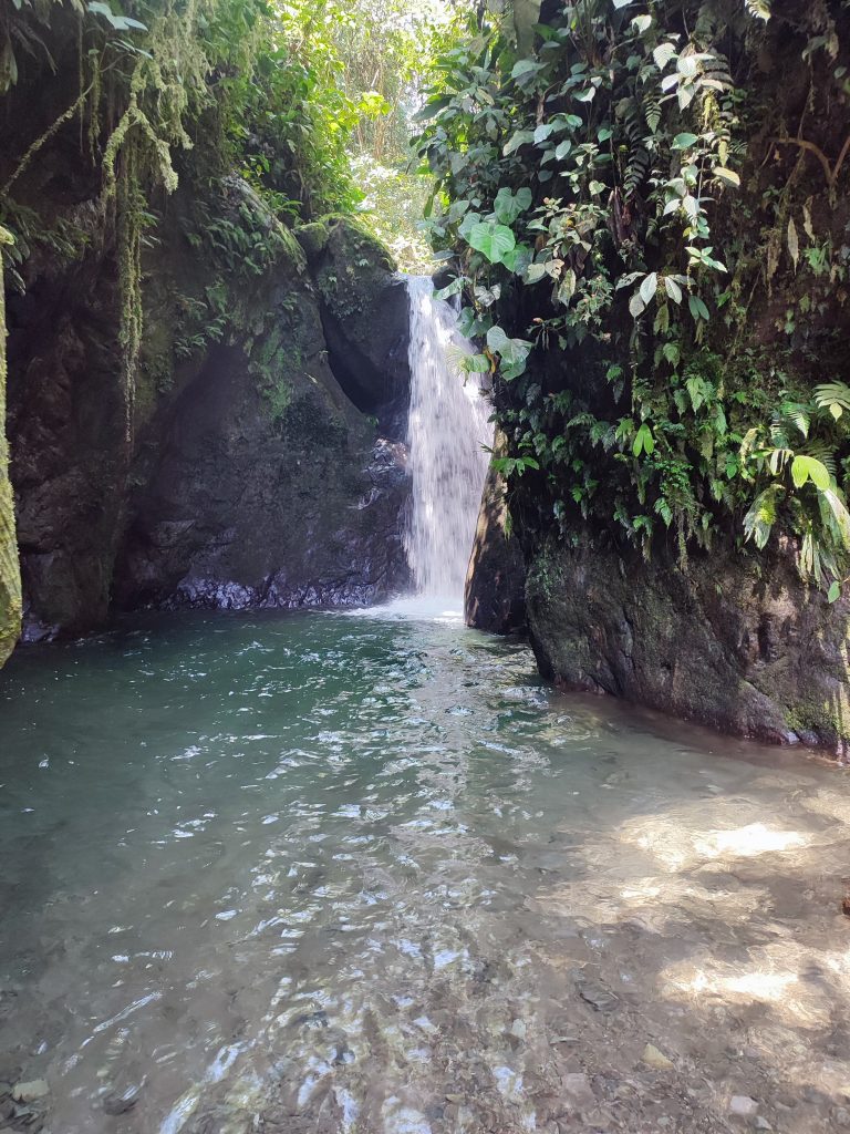 Reina waterfall in Mindo Ecuador