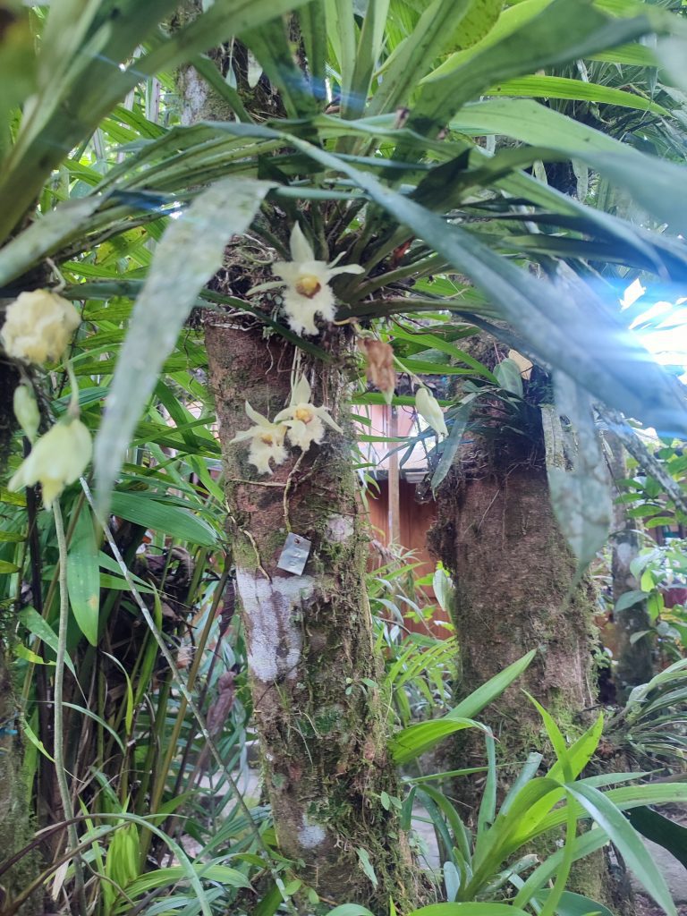 Visiting a butterfly farm in Mindo, Ecuador