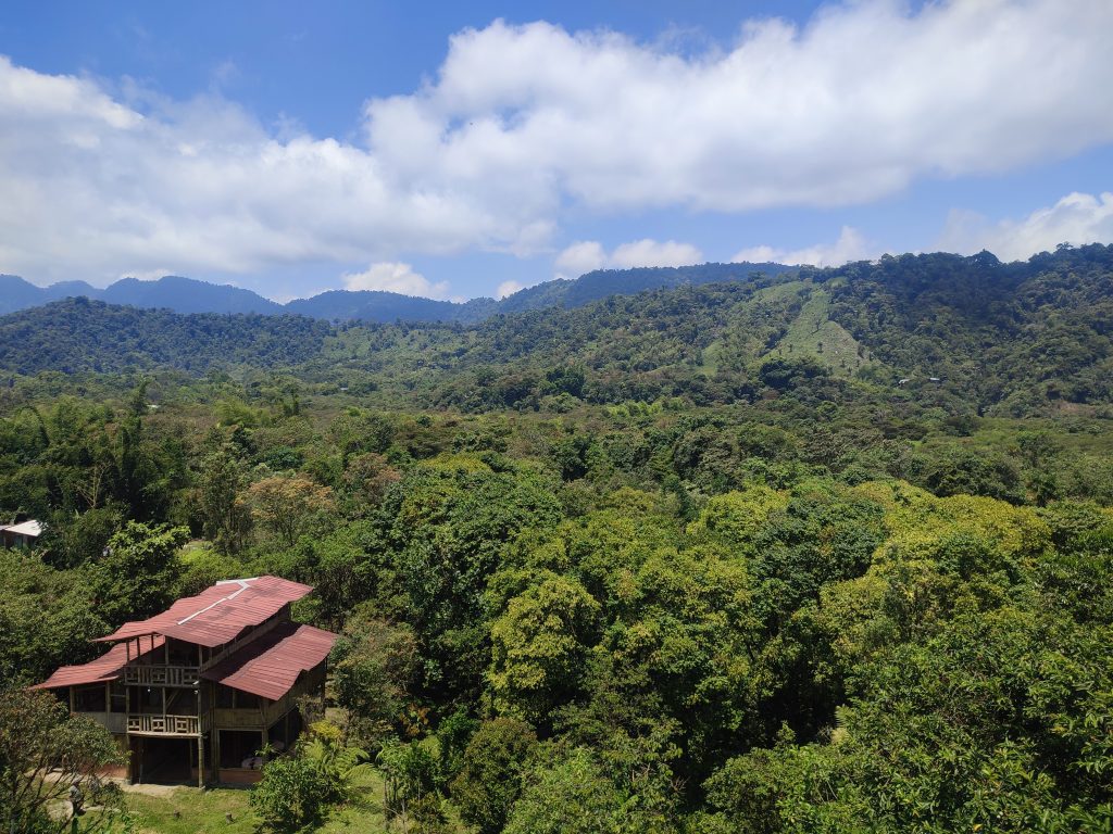 Tirolesa a través del bosque en Mindo, Ecuador