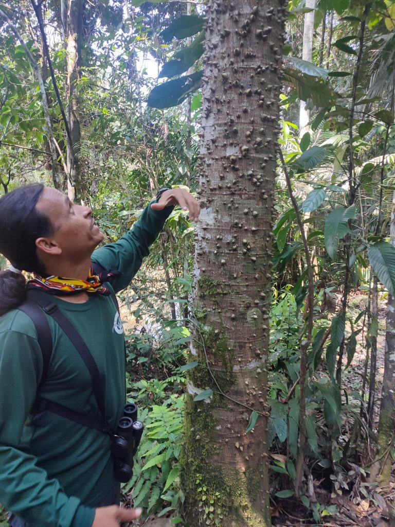 Visiting Cuyabeno Wildlife Reserve with Ecuadorian guide