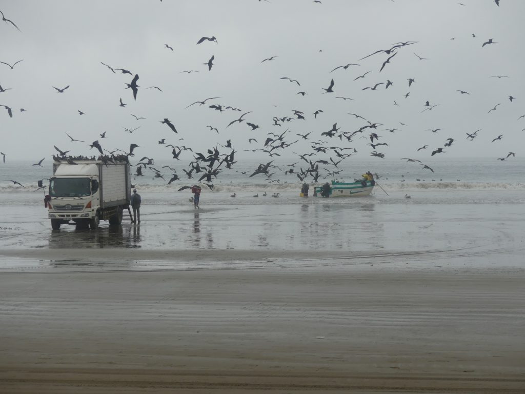 Getting a boat trop from Puerto Lopez Ecuador to Isla de la Plata