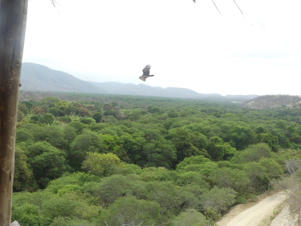 Visiting Sendero Bola De Oro from Puerto Lopez Ecuador