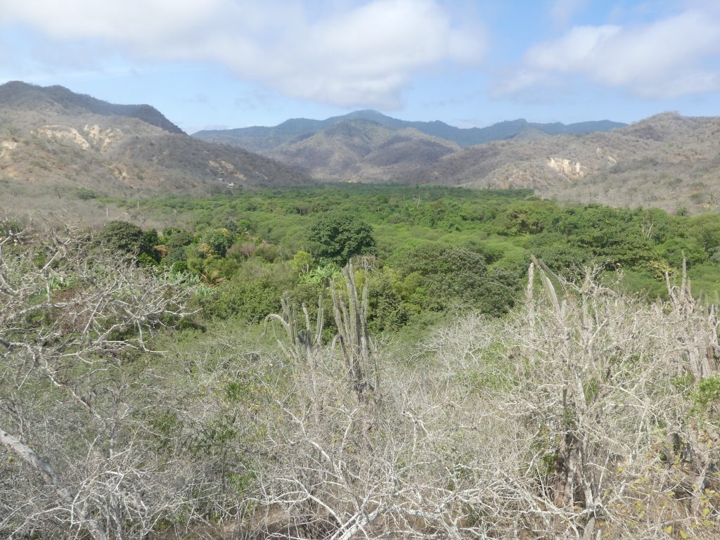 Hiking in Agua Blanca Commune