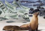 Cash at Galapagos Islands
