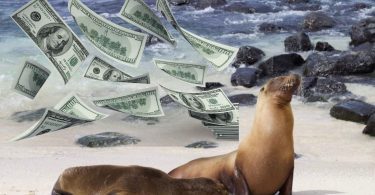 Cash at Galapagos Islands