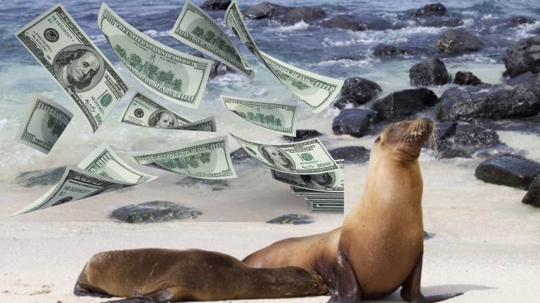 Cash at Galapagos Islands