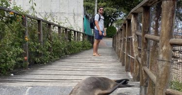 I am standing 2 meters away of sealion at Galapagos (San Cristobal Island)