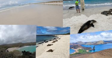Galapagos Islands beaches combined into collage