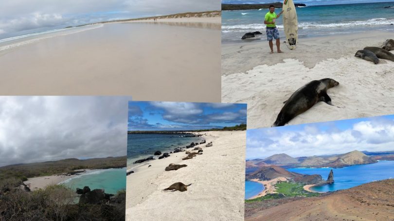 Galapagos Islands beaches combined into collage