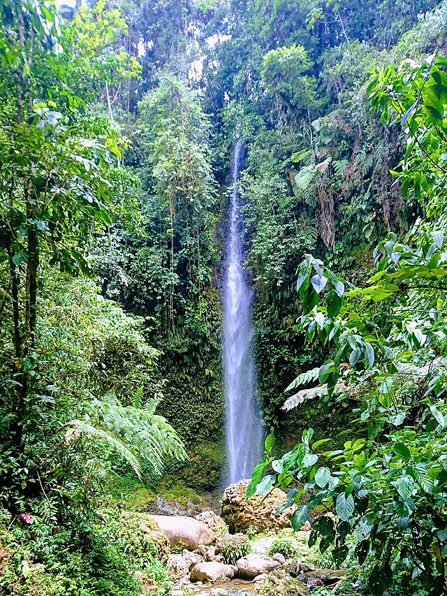 Hola Vida Waterfall near Puyo Ecuador