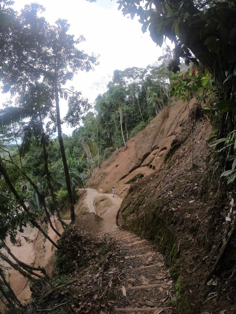 Rainforest Wildlife Conservation at Yanacocha Rescue Center in Puyo, Ecuador